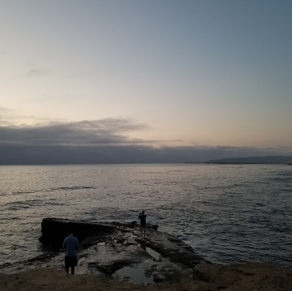 Meet your Posher, Paula